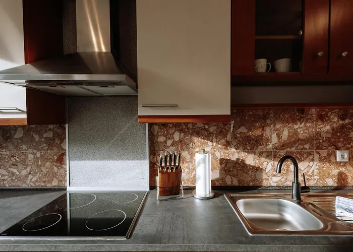 Stilvolles Mit Blick Auf Dreifluesse-eck Apartment Passau