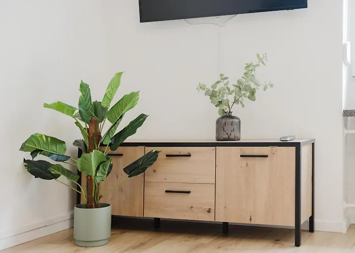 公寓 Stilvolles Mit Blick Auf Dreifluesse-eck 帕绍