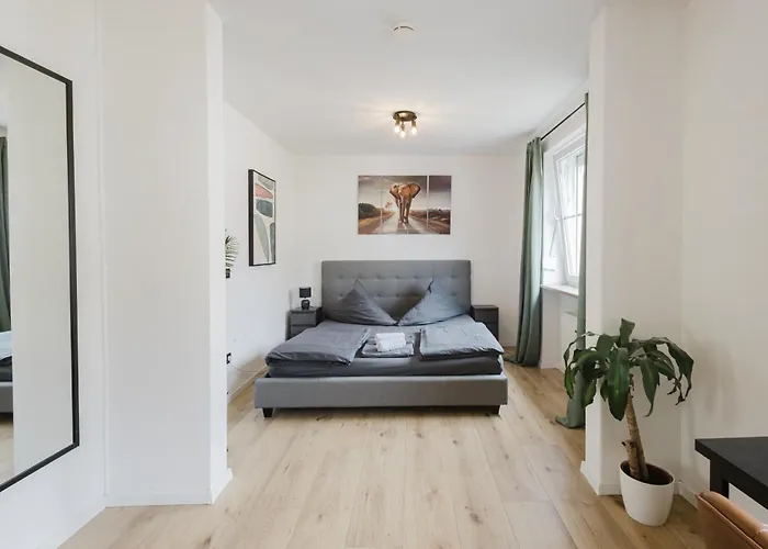 Apartment Stilvolles Mit Blick Auf Dreifluesse-eck