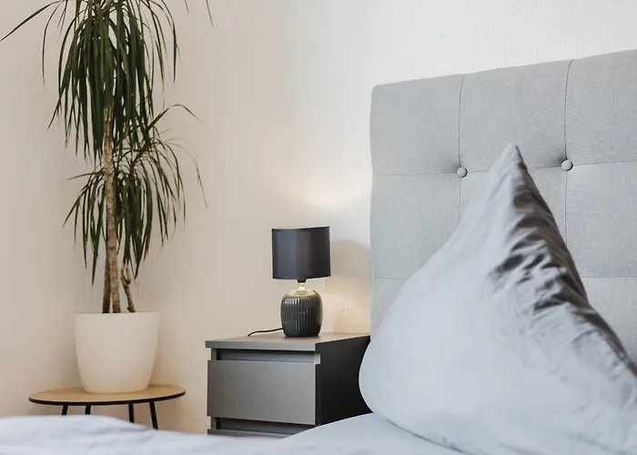 Apartment Stilvolles Mit Blick Auf Dreifluesse-eck